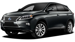 3D коврики в салон из экокожи для Lexus RX III (AL10)  2012-2015