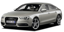 3D коврики в салон из экокожи для Audi A5 I (T8 спортбек) 2008-2016