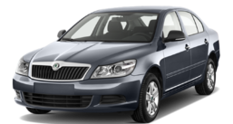 3D коврики в салон из экокожи для Skoda Octavia A5 2008-2013