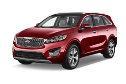 3D коврики в салон из экокожи для Kia Sorento III Prime 2015-2020