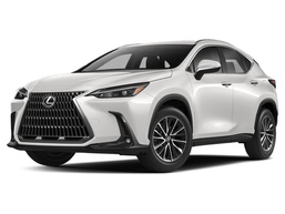 3D коврики в салон из экокожи Lexus NX (АZ20) 2021-н.в.