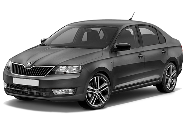 3D коврики в салон из экокожи для Skoda Rapid 2012-2016