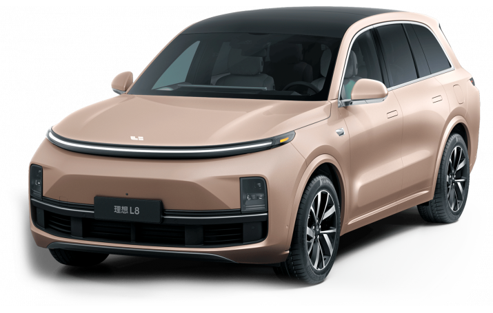 3D коврики в салон из экокожи для Li L8 2022-н.в.
